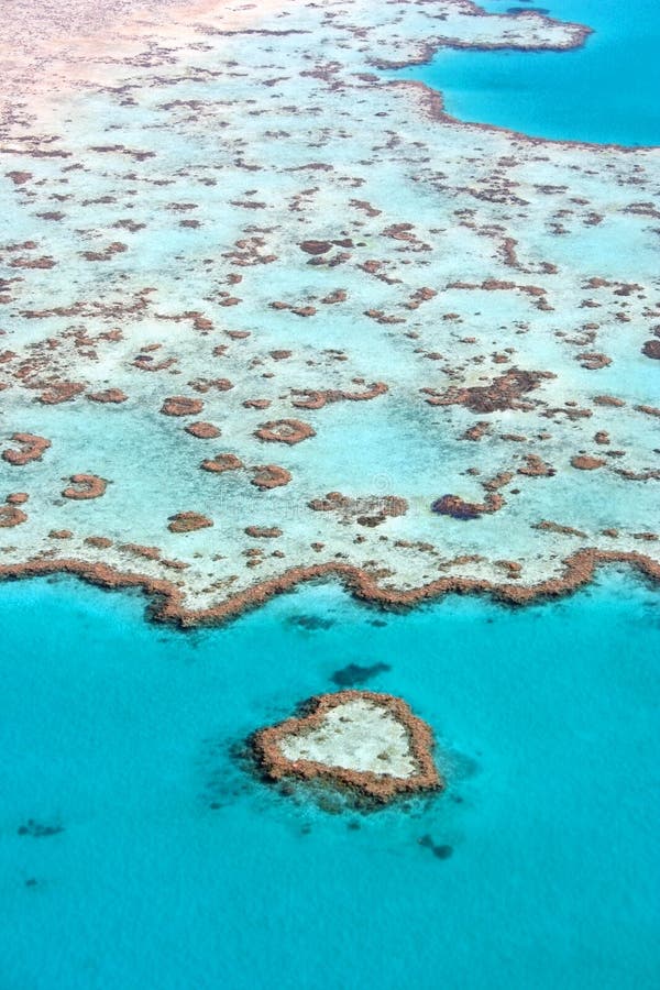 Tropical Reef, Australia
