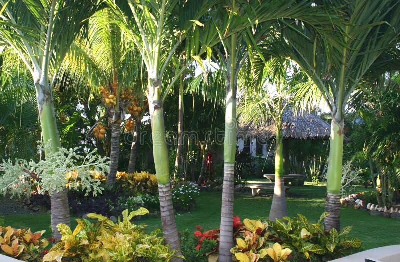 Tropical resort gardens