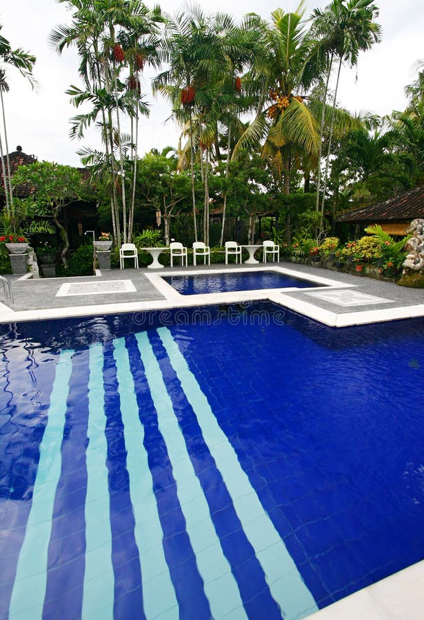 A photograph image of a blue swimming pool in a tropical resort surrounded by lush and colorful landscaping plants. Taken with wide angle lens, vertical format. Recreation area with small jacuzzi pool and large lap pool. Simple composition with copy space. Location is in Bali, Indonesia, southeast asia. Vertical color format photo, nobody in picture. A photograph image of a blue swimming pool in a tropical resort surrounded by lush and colorful landscaping plants. Taken with wide angle lens, vertical format. Recreation area with small jacuzzi pool and large lap pool. Simple composition with copy space. Location is in Bali, Indonesia, southeast asia. Vertical color format photo, nobody in picture.