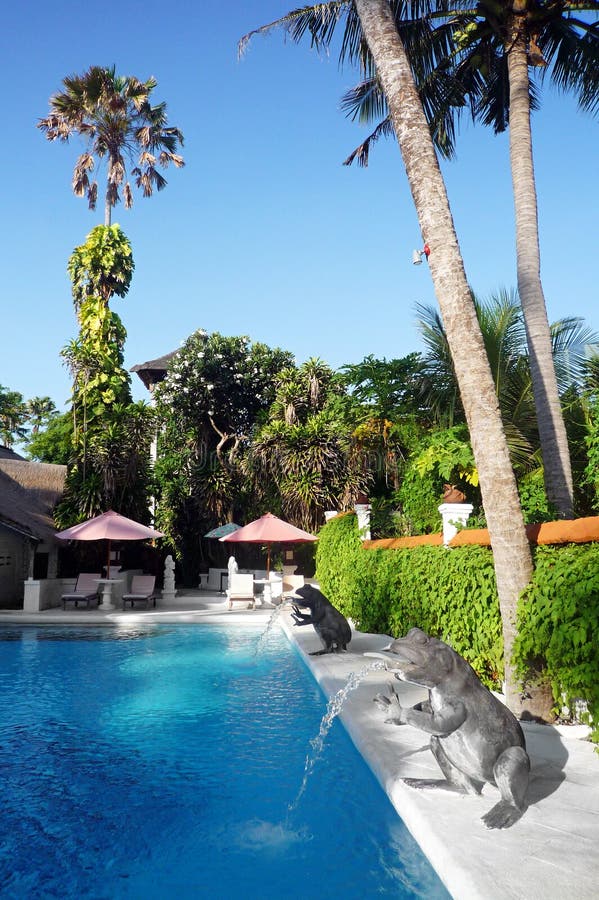 A photograph image showing the blue pool of a sunny tropical balinese vacation resort hotel near Sanur beach front area. With ornamental stone carvings of large frogs as fountains, and sunshades around the azure blue swimming pool. Lush tropical landscaping with green climbers on walls, tall palm trees and other flowering plumeria trees in the resort grounds. Taken on bright sunny day, vertical color format, nobody in picture. A photograph image showing the blue pool of a sunny tropical balinese vacation resort hotel near Sanur beach front area. With ornamental stone carvings of large frogs as fountains, and sunshades around the azure blue swimming pool. Lush tropical landscaping with green climbers on walls, tall palm trees and other flowering plumeria trees in the resort grounds. Taken on bright sunny day, vertical color format, nobody in picture.