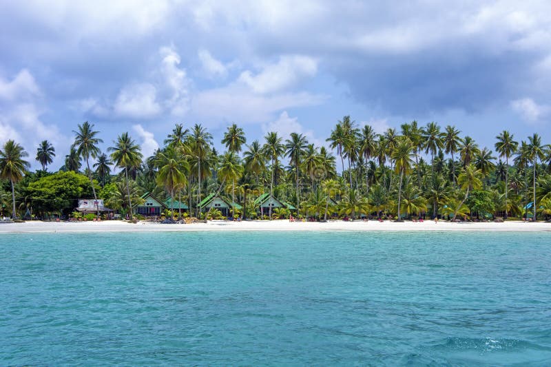 Tropical resort with many palm trees view from sea