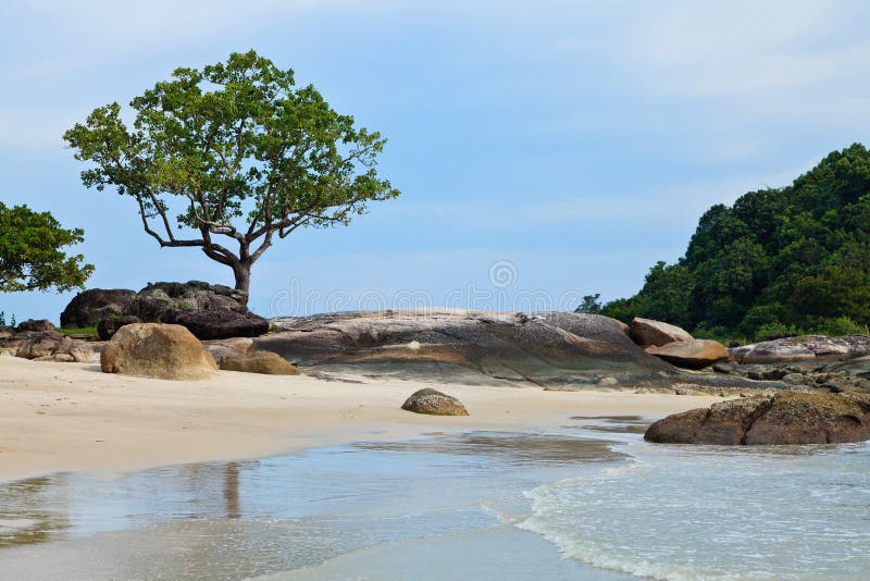 Tropical rocky beach with rain forest