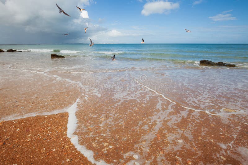 Beach Sand Dune with Grasses and Cane Stock Photo Image of resort