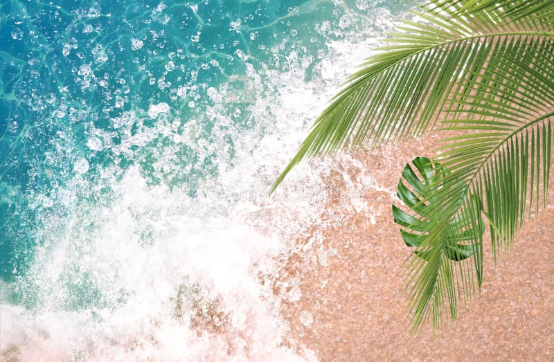 Làm mới màn hình điện thoại hay máy tính của bạn với hình ảnh Tropical Palm Leaf đang rực rỡ màu sắc và sinh động. Những hình ảnh này sẽ giúp bạn cảm thấy như đang đắm mình trong không gian nghỉ dưỡng ngay tại nhà. 
