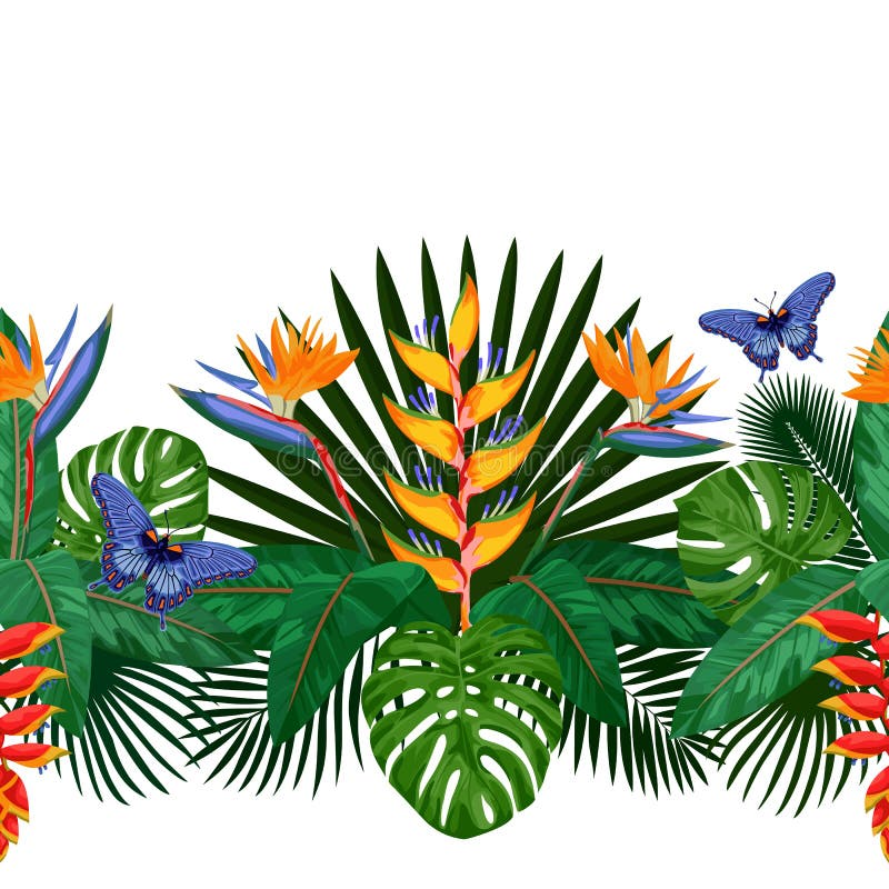 Tropical Seamless Border stock illustration Tropical Seamless Border stock illustration