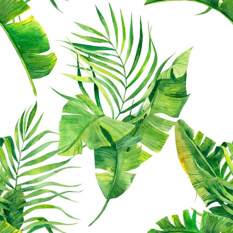 Tropical seamless pattern with exotic palm leaves. Tropical jungle foliage illustration. Exotic plants. Summer beach design. Parad