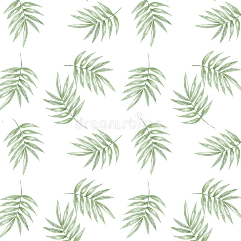 Tropical seamlless pattern with exotic palm leaves. Seamlless pattern tropic leafs on white background royalty free illustration Tropical seamlless pattern with exotic palm leaves. Seamlless pattern tropic leafs on white background royalty free illustration