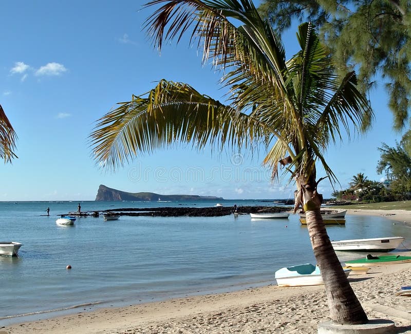 Playa monedas lodo isla en.