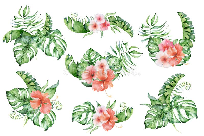 Download Tropical Set Watercolor Flowers And Leaves. Exotic Bouquet ...