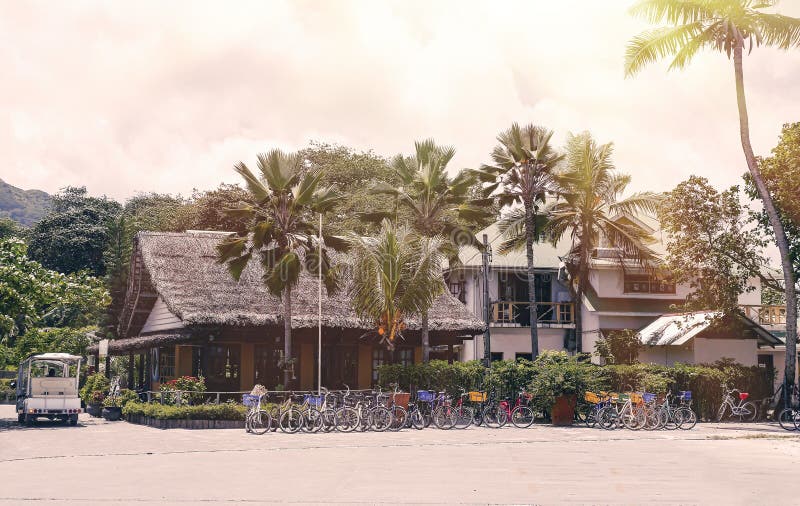 Tropical Seychelles. Palm trees on the La Digue Mahe