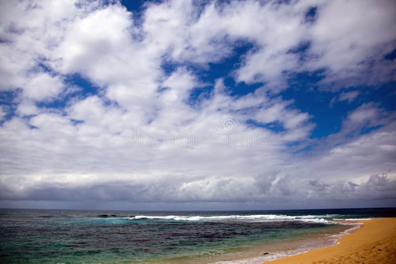 Tropical Beach Shoreline in Hawaii