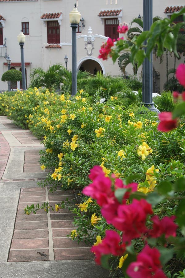 Tropical Sidewalk Landscaping