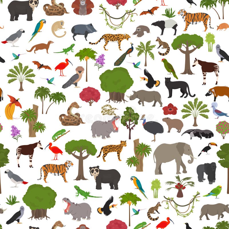 Tropical and subtropical rainforest biome, natural region seamless pattern. Amazonian, African, asian, australian rainforests.