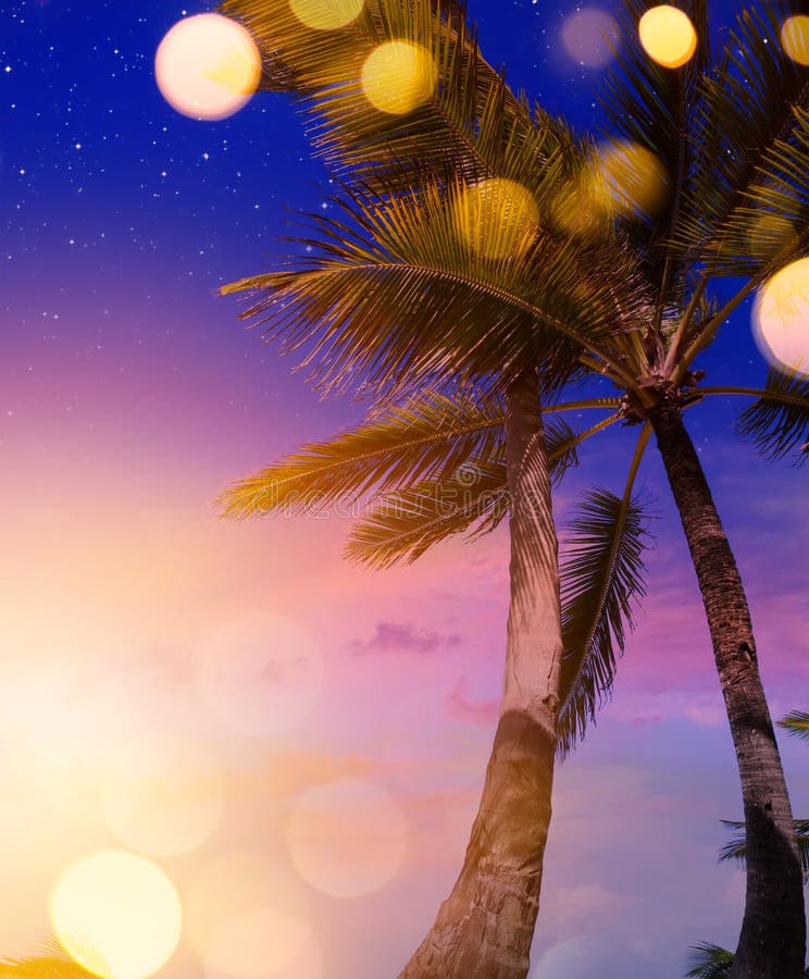 Beach Party Background Hd - Image to u