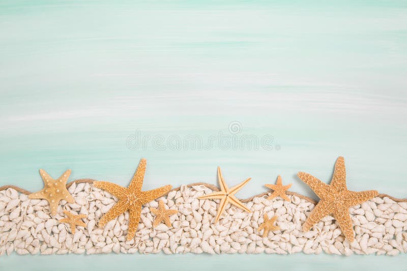 Tropical summer: blue or turquoise wooden background with shells royalty free stock images Tropical summer: blue or turquoise wooden background with shells royalty free stock images