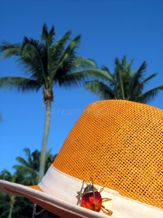 A lady wearing a tropical sun hat with a jewel bug. Taken at singapore cafe del mar.