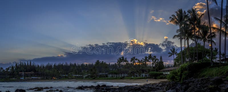 tcel tropical sunrise tcel tropical sunrise