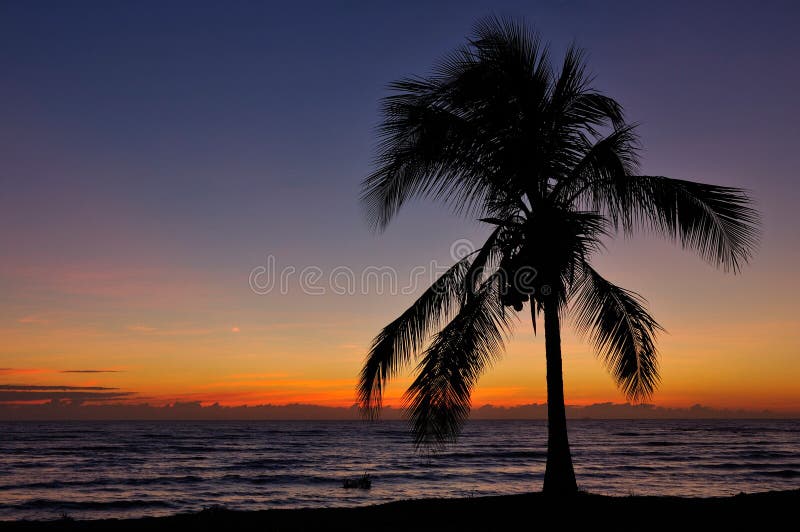 Tropical Sunset in Australia