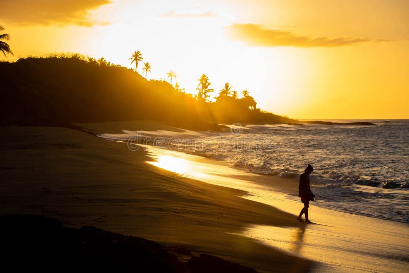 Tropical sunset at the beach with palms royalty free stock photo Tropical sunset at the beach with palms royalty free stock photo