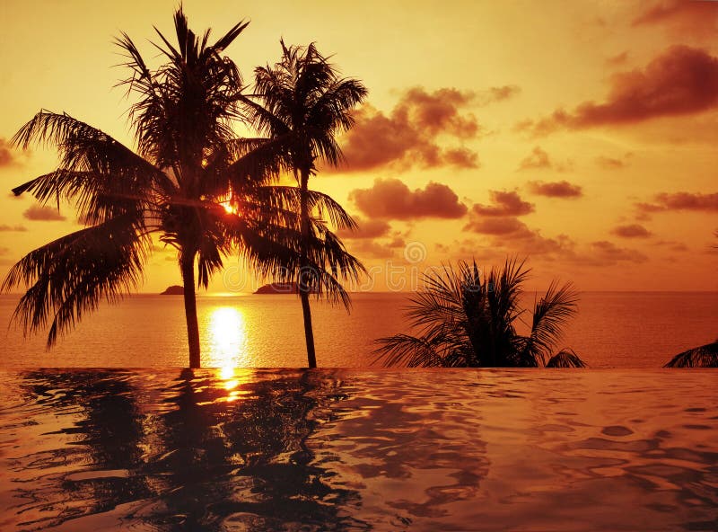 Da Palma alberi sul tailandia Spiaggia sul tramonto.