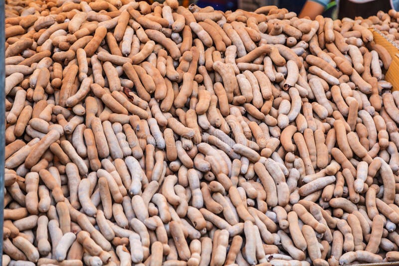 Tropical Tamarind fruit pod with hard brown shell contains edible fleshy, juicy, acidulous pulp used in cuisines, traditional royalty free stock photos