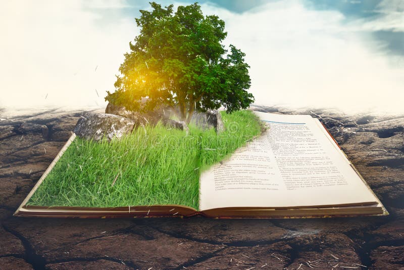 Tropical tree on a book