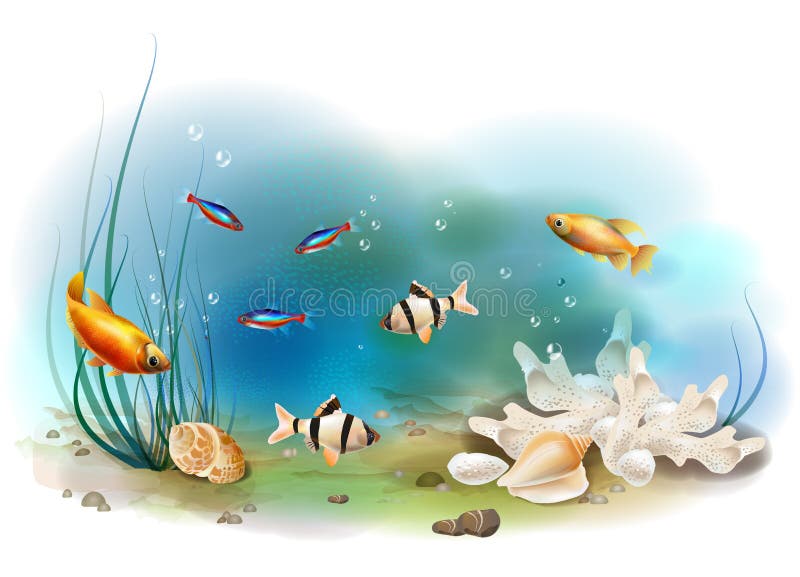 Tropical underwater world stock illustration