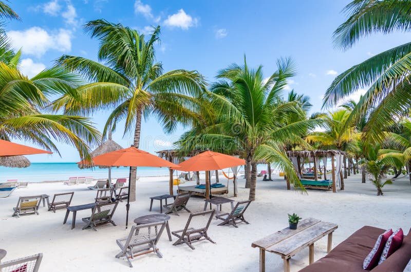 Tropical vacation beach resort view with palm trees