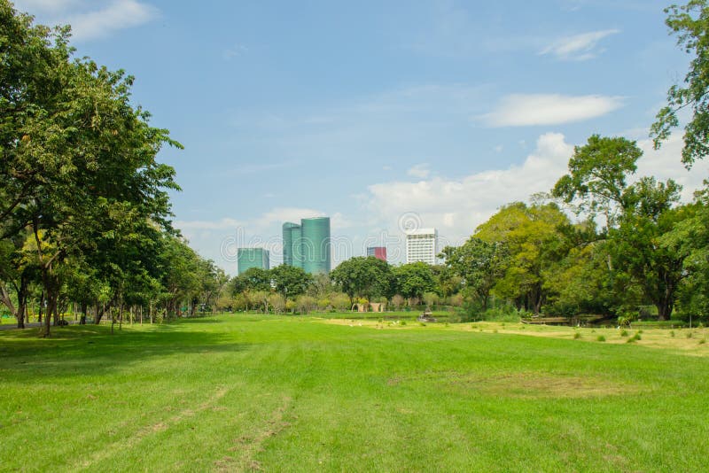 Tropical view of green lawn grass meadow field and trees in public park with city buildings in the background.