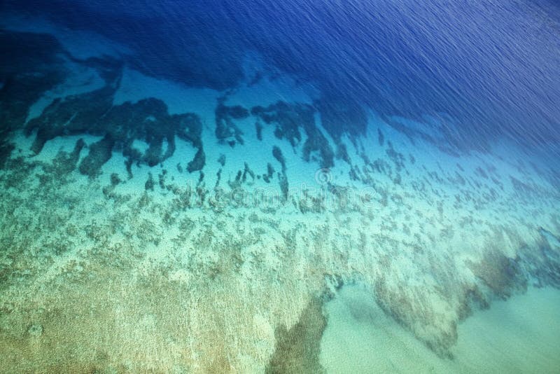 Tropical coral reef. stock image. Image of world, coral - 3468191