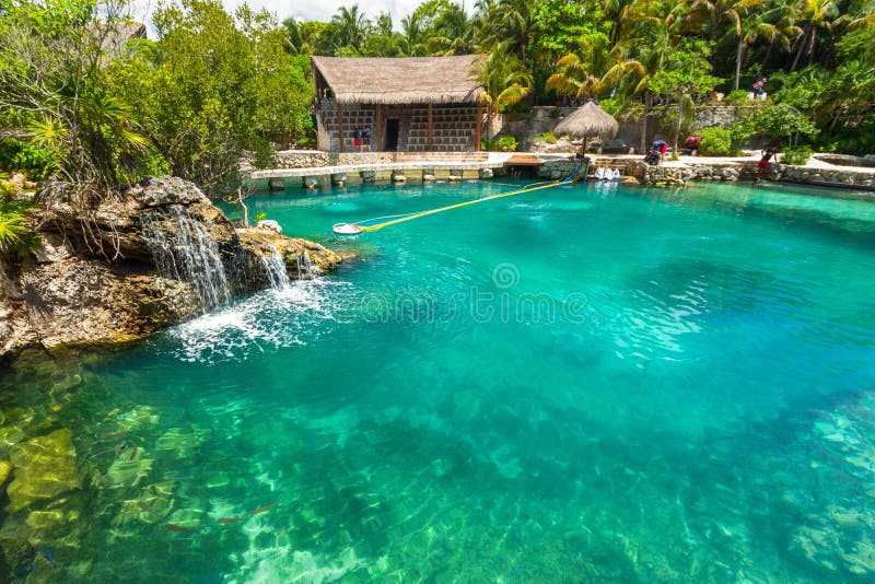 Tropical water at the jungle in Yucatan, Mexico royalty free stock photography