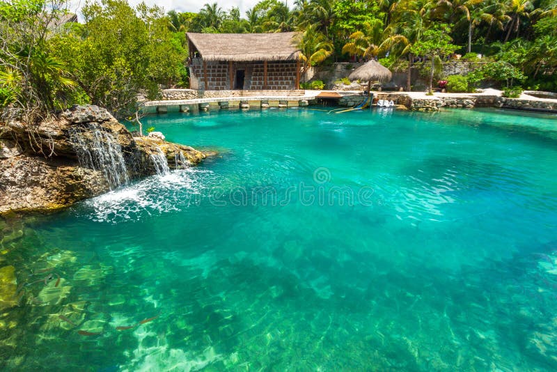 Tropical water at the jungle in Yucatan, Mexico royalty free stock photo