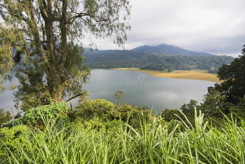 Tropical water landscape view with lake and green forest