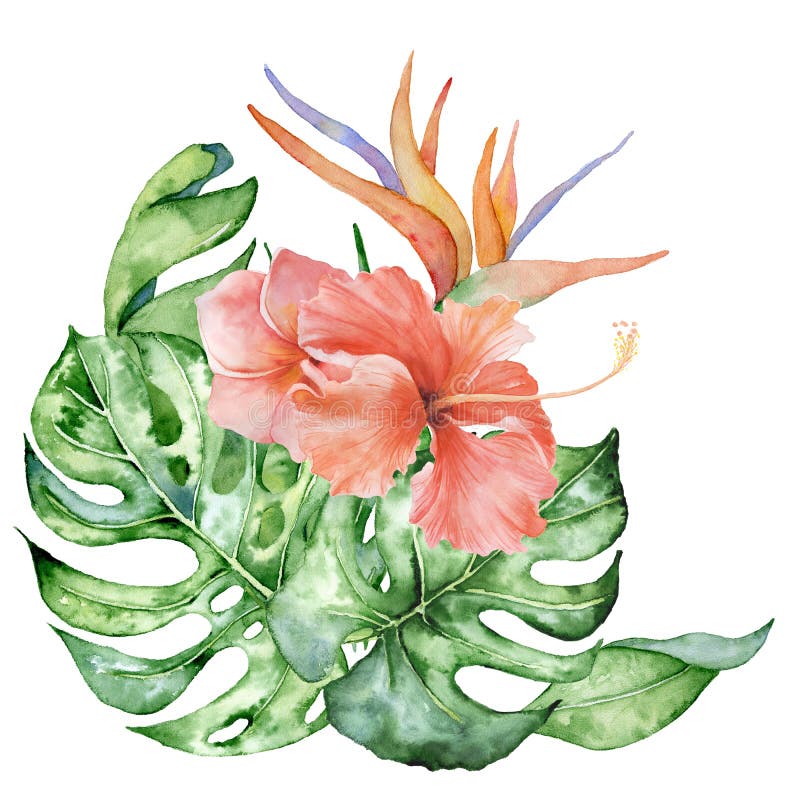 Download Tropical Watercolor Flowers And Leaves. Exotic Bouquet ...