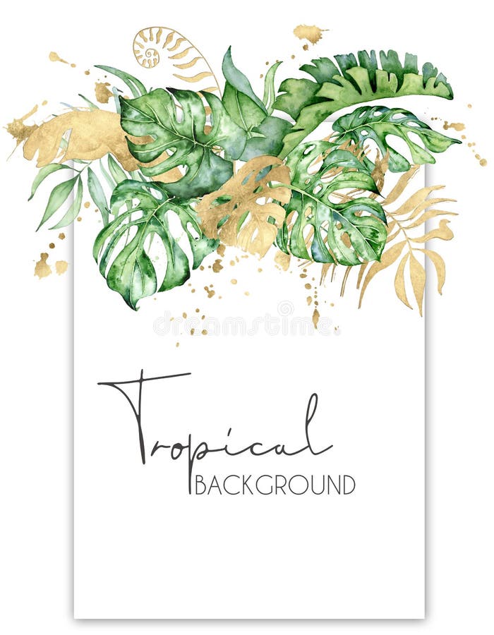 Tropical watercolor leaves banner isolated on white background. Exotic floral designs. Hand drawn illustration