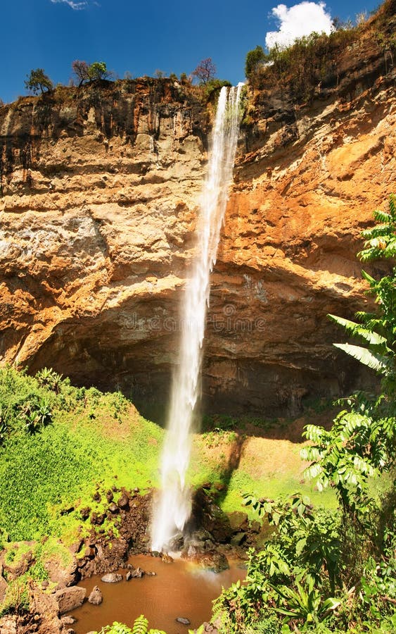 Tropical waterfall royalty free stock photo Tropical waterfall royalty free stock photo