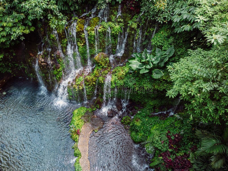 Tropical waterfall cascading over mossy rocks surrounded by jungle foliage stock images