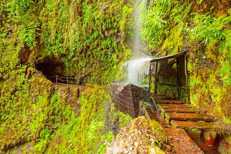 Tropical waterfall, madeira