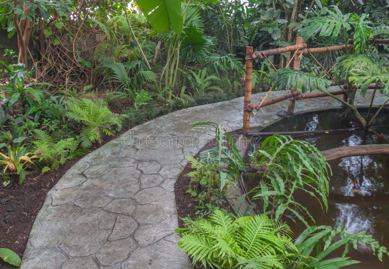Tropical Zone in the Greenhouse. Stock Image Image of fern, roots
