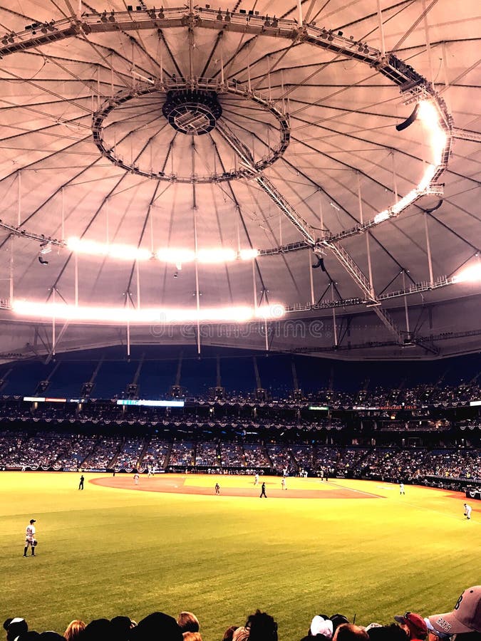 Tropicana Field, St. Petersburg, Florida Editorial Stock Image Image