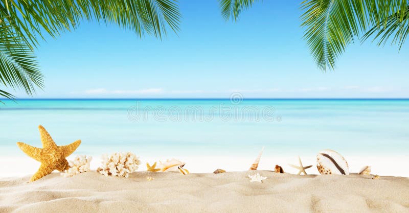 Tropikalna plaża z denną gwiazdą na piasku, wakacje letni tło