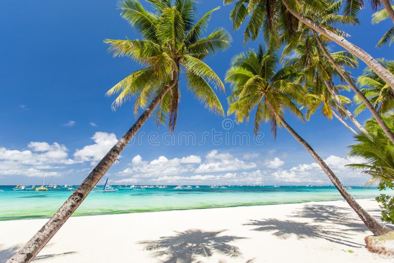 Tropikalna plaża z pięknymi palmami i białym piaskiem obrazy royalty free Tropikalna plaża z pięknymi palmami i białym piaskiem obrazy royalty free