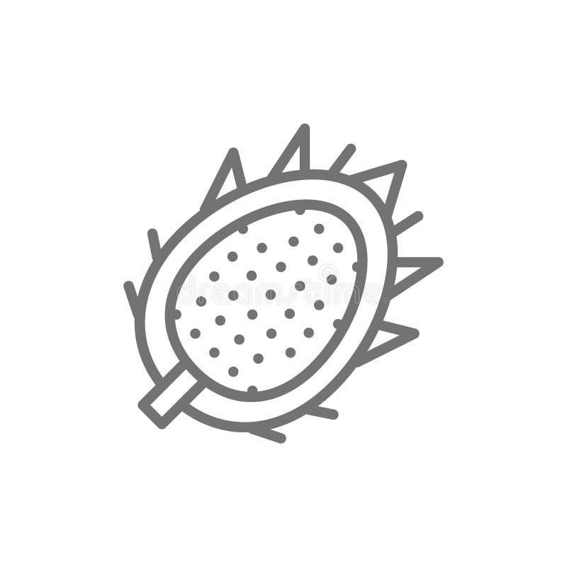 Tropikalna smok owoc, pitahaya, pitaya kreskowa ikona ilustracja wektor Tropikalna smok owoc, pitahaya, pitaya kreskowa ikona ilustracja wektor