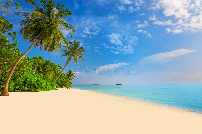 Tropikalna wyspa z piaskowatą plażą, drzewka palmowe, overwater bungalow