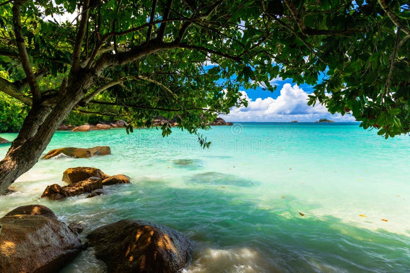 tropikalny na plaży Seychelles zdjęcia stock tropikalny na plaży Seychelles zdjęcia stock