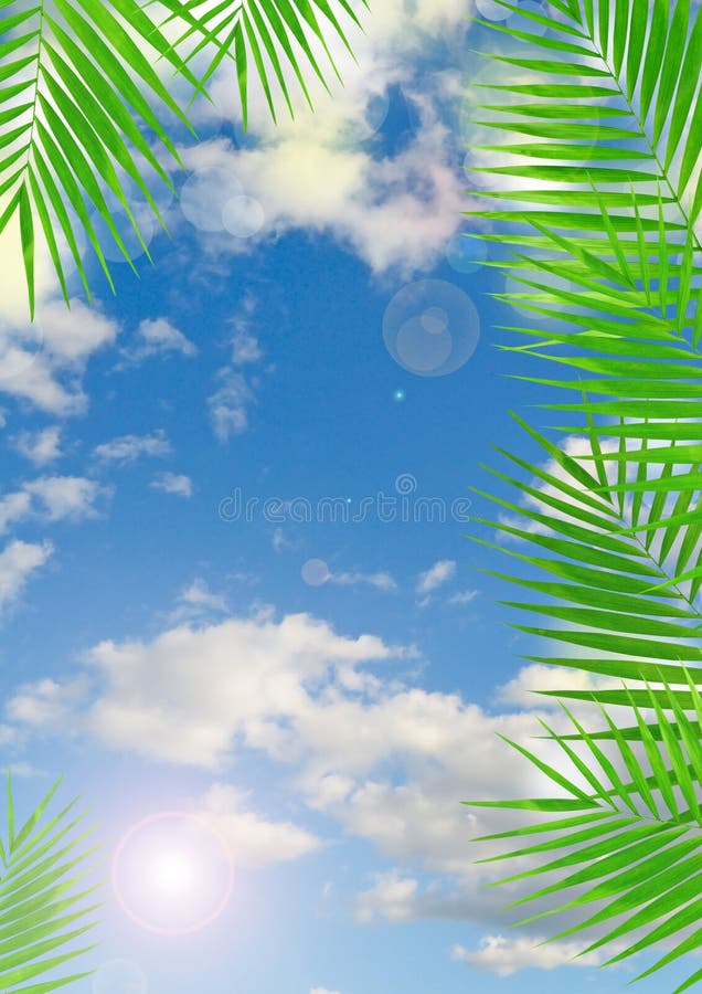Tropical background with lens flare effect and sky. Tropical background with lens flare effect and sky