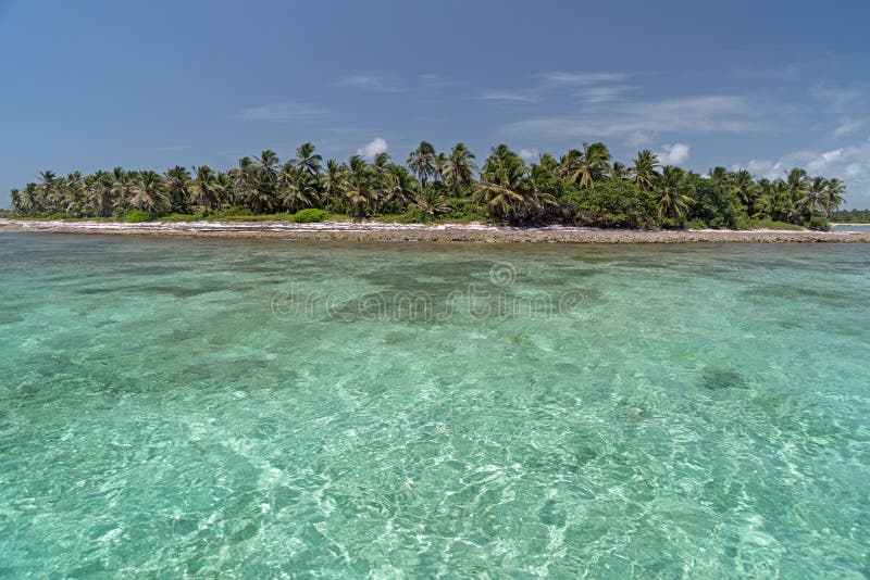 Tropical Caribbean beach near Punta Cana in the Dominican Republic. Tropical Caribbean beach near Punta Cana in the Dominican Republic.