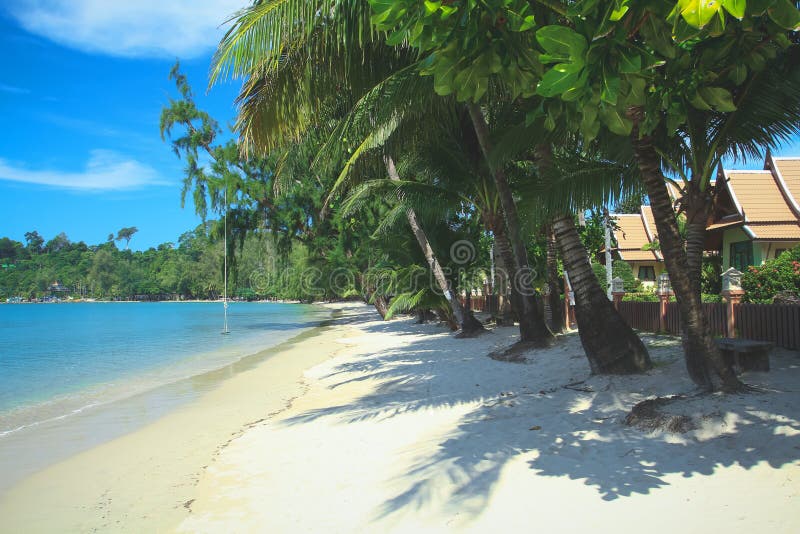 Tropisch Palmstrand met luxebungalowwen op Koh Chang stock foto Tropisch Palmstrand met luxebungalowwen op Koh Chang stock foto