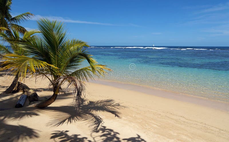 Tropisch strand een stuk van paradijs royalty-vrije stock fotografie Tropisch strand een stuk van paradijs royalty-vrije stock fotografie