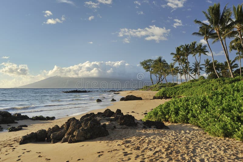 Tropisch strand in Maui royalty-vrije stock afbeeldingen Tropisch strand in Maui royalty-vrije stock afbeeldingen